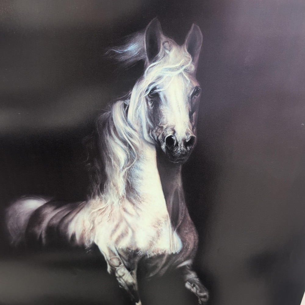 Sonia Torres Limited Edition, Numbered, Signed Arabian Left Horse Artist's Print - Picture 2 of 8